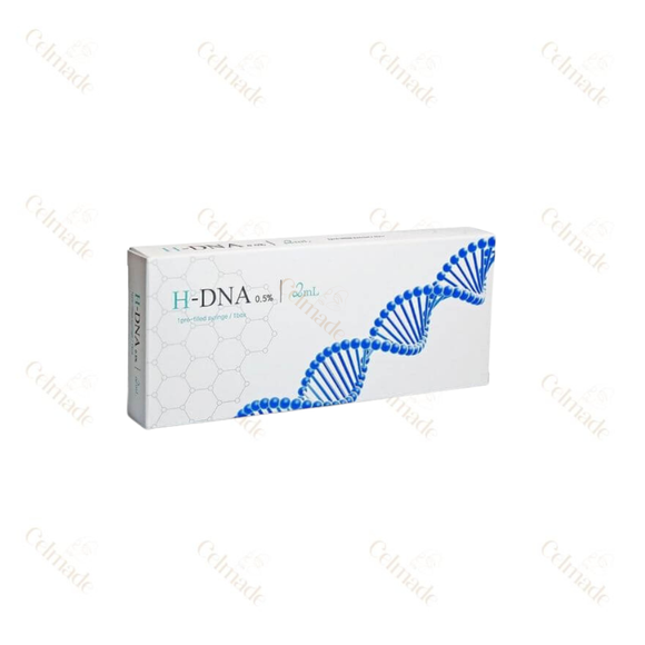 H DNA